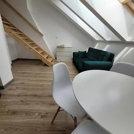 Limanowskiego Apartment 3 公寓